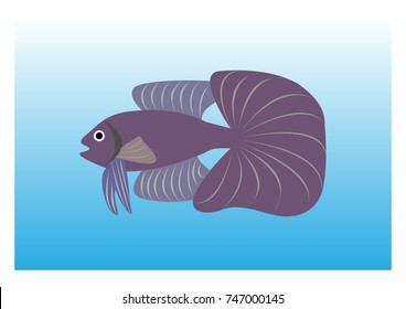 illustration of various fish vector model 47