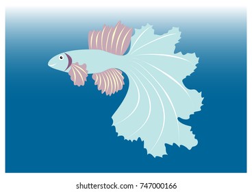 illustration of various fish vector model 51