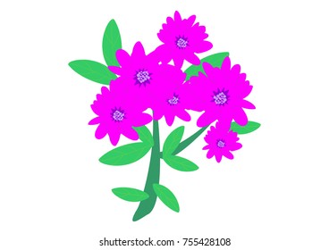 illustration of various flower vector