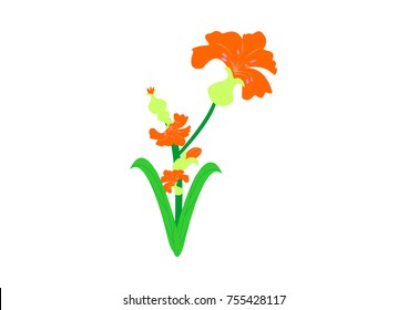 illustration of various flower vector