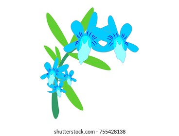 illustration of various flower vector