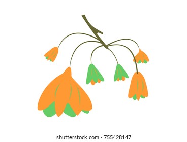 illustration of various flower vector