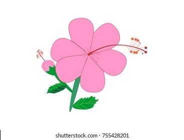 illustration of various flower vector