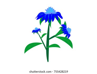 illustration of various flower vector