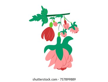 illustration of various flower vector