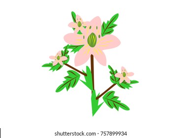 illustration of various flower vector
