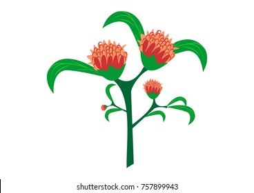 illustration of various flower vector