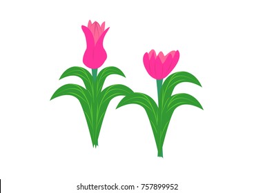 illustration of various flower vector