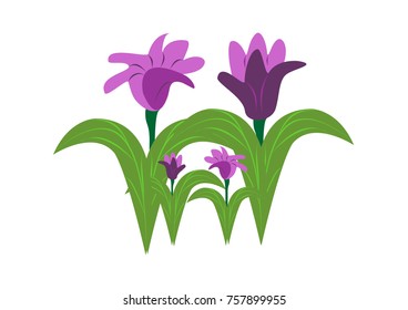 illustration of various flower vector