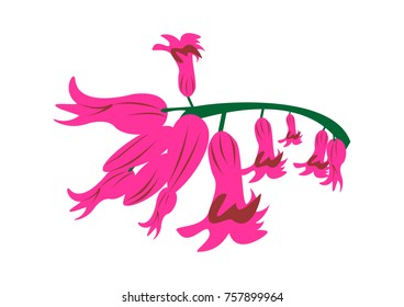 illustration of various flower vector
