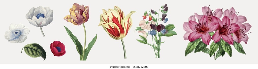 Illustration of various flowers, including tulips, lilies, and poppies. Vibrant floral designs with diverse colors and intricate petal details. Spring flower illustrations, isolated vector set.