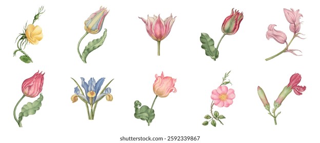 Illustration of various flowers, including tulips and roses. Each flower is uniquely colored and detailed, showcasing diverse floral designs and botanical art. Watercolor element vector set.