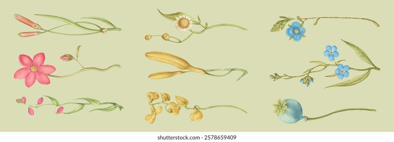 Illustration of various flowers and plants. Delicate flowers, colorful flowers, and green plants on a light background. Botanical art with flowers and plants. Spring flower illustrations, vector set.