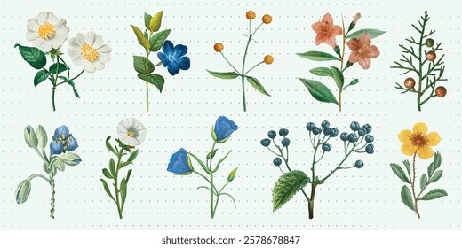 Illustration of various flowers and plants, featuring colorful blooms and green leaves. Includes white, blue, and yellow flowers with detailed foliage. Spring flower illustrations, isolated vectors.