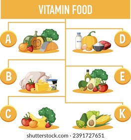 Illustration of various food types categorized by their vitamin content