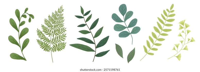 Illustration of various green leaves. Leaves in different shapes and shades of green. Green leaves, botanical design, nature. Leaves for nature-themed projects. Nature element vector set.