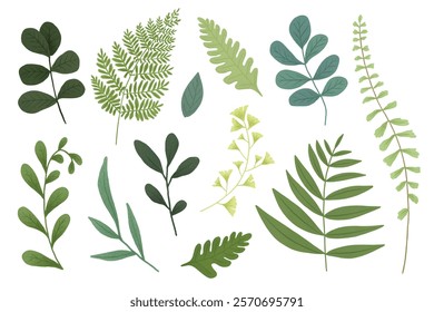 Illustration of various green leaves and ferns. Different leaf shapes and shades of green. Botanical elements, nature-themed design with diverse leaves. Nature element vector set.