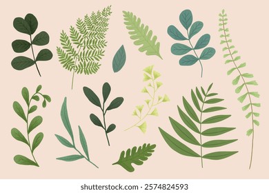 Illustration of various green leaves and ferns. Different leaf shapes and sizes. Green leaves and ferns on a light background. Botanical leaf collection. Nature element vector set.