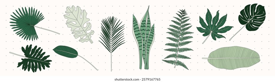 Illustration of various green leaves, including palm, fern, and monstera. Leaf patterns and shapes are diverse, showcasing tropical leaf variety and design. Nature illustrations, element vector set.