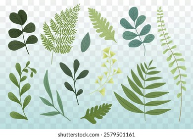 Illustration of various green leaves, including ferns and eucalyptus. Green leaves, diverse shapes, and ferns create a natural, botanical theme. Nature element vector set.