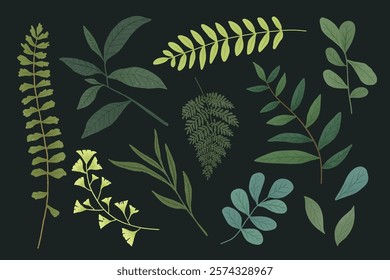 Illustration of various green leaves on a dark background. Includes fern, ginkgo, and other leaves. Botanical leaves create a natural, leafy design. Nature element vector set.