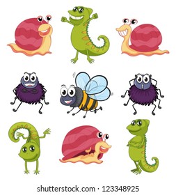 Ilustración de varios insectos y animales sobre un fondo blanco