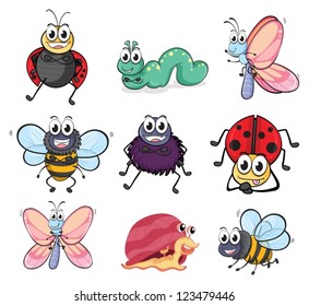 Illustration of various insects and animals on a white background