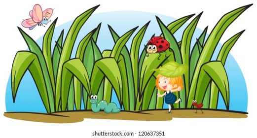 illustration of various insects and a girl on a white background