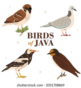 ilustración de varios tipos de iconos de aves en la isla de Java