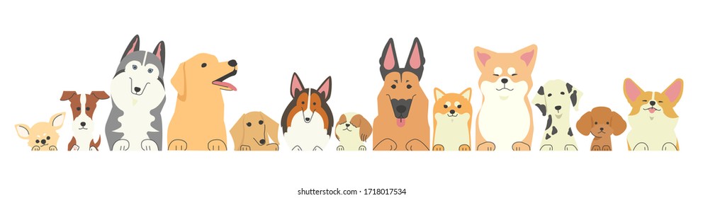 Illustration mit verschiedenen Hundearten mit ihren Vorderpfästen nebeneinander