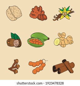 illustration of various kinds of spices