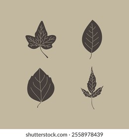 illustration of various leaves colored 