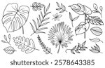 Illustration of various leaves, including monstera, palm, and fern. Black and white leaves, tropical leaves. Botanical doodle vector set.