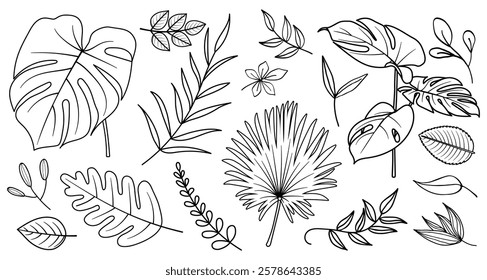 Illustration of various leaves, including monstera, palm, and fern. Black and white leaves, tropical leaves. Botanical doodle vector set.