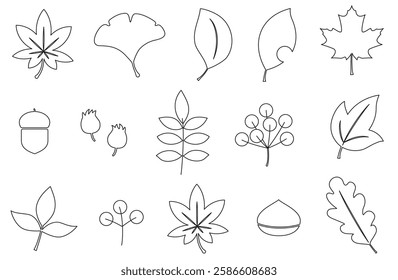 Illustration of various leaves and nuts