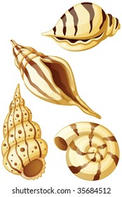 illustration of various objects on white