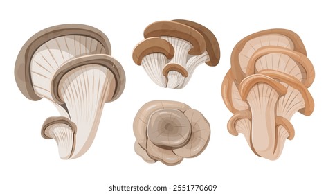 Illustration of various oyster mushroom types in earthy tones, showcasing their unique shapes and gill patterns.