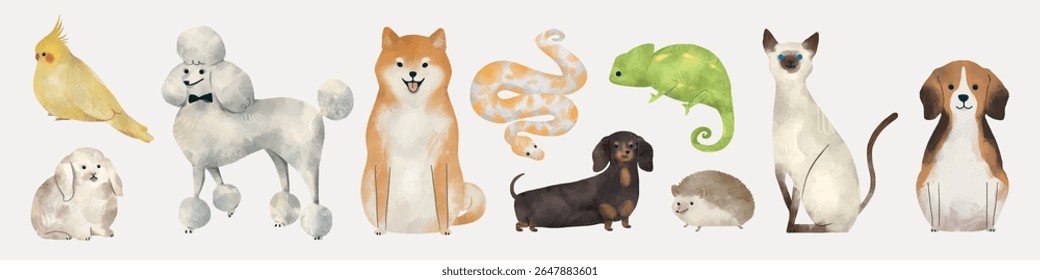 Illustration of various pets: bird, poodle, Shiba Inu, snake, chameleon, dachshund, hedgehog, Siamese cat, beagle. Cute and diverse pet collection. Isolated animal vector set.