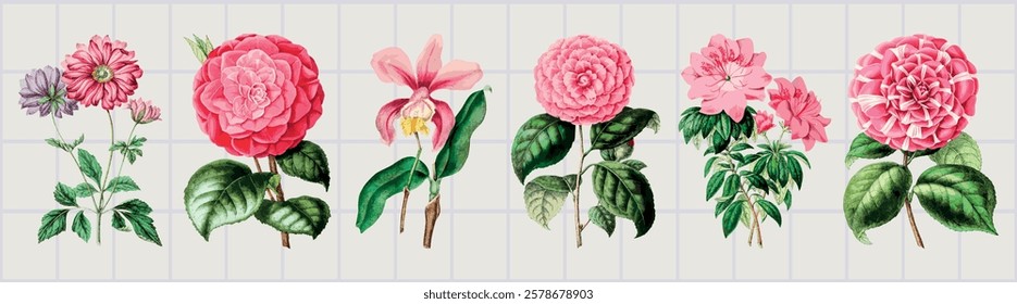 Illustration of various pink flowers, including roses and orchids, with green leaves. Flowers and leaves are arranged in a row, showcasing floral diversity. Nature illustrations, element vector set.