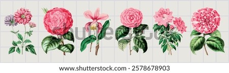 Illustration of various pink flowers, including roses and orchids, with green leaves. Flowers and leaves are arranged in a row, showcasing floral diversity. Nature illustrations, element vector set.