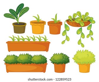 Illustration of various plants and pots on a white background