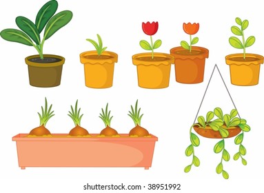illustration of various plants and pots on white