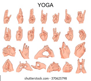 illustration of the various positions of your hands in yoga, in meditation, the wise