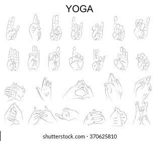 illustration of the various positions of your hands in yoga, in meditation, the wise