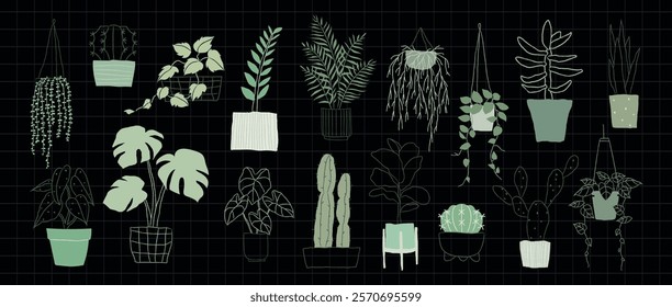 Illustration of various potted plants, featuring hanging plants, succulents, and leafy greens. Plants in pots, hanging plants, and succulents on display. Home decor vector set.