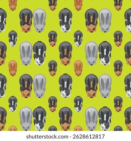 Illustration of various rabbits on a vibrant backdrop