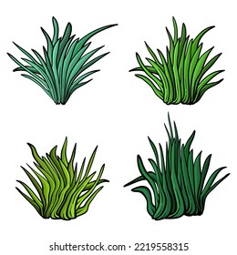Illustration of various shape of vector green grass set. Isolated on white background.