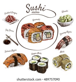 Illustration of various sort of sushi. Colorful illustration of sushi