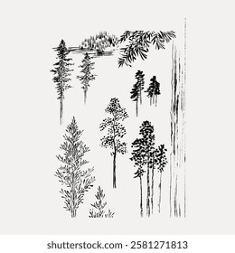 Illustration of various trees in black ink. Trees in different shapes and sizes. Black ink trees with detailed branches and leaves. Artistic tree sketches. Vintage botanical illustration vector.