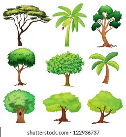 Illustration of various trees on a white background